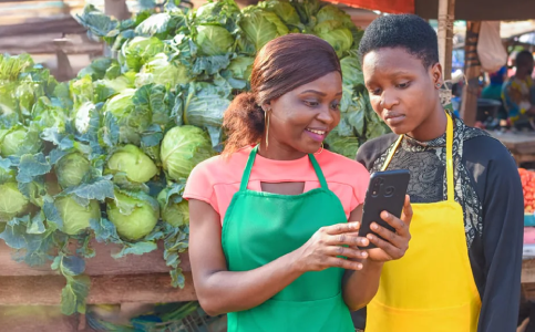 Technical Assistance and Training on Digital Financial Services and Agent Banking
