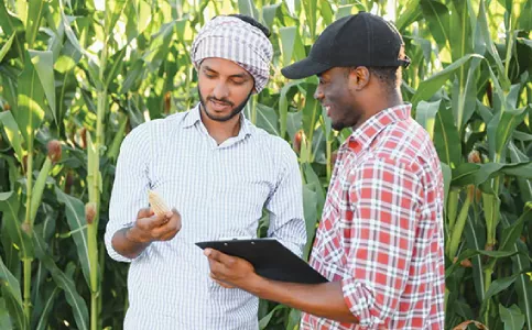 Market landscape for agent lending and recruitment