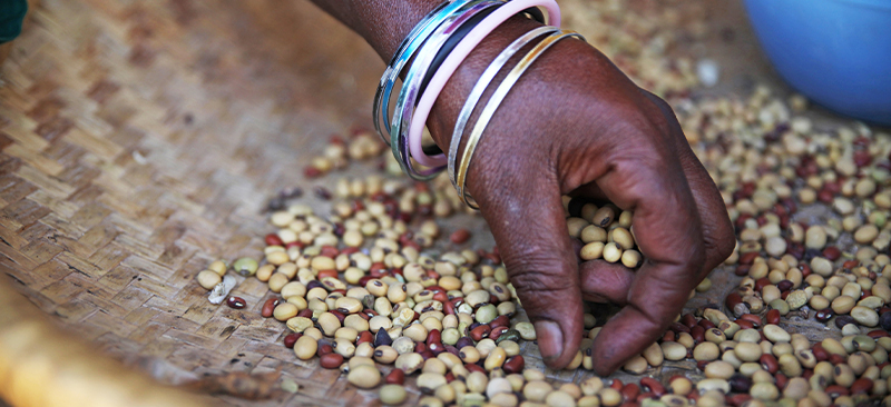Drones Providing Confidence in Smallholder Agriculture Finance-2