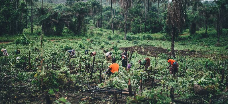 Agricultural finance product development in Kenya, Uganda, Ethiopia, and Ghana