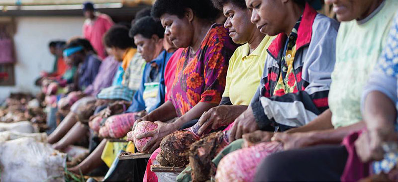 Landscape study on enterprise development in Fiji