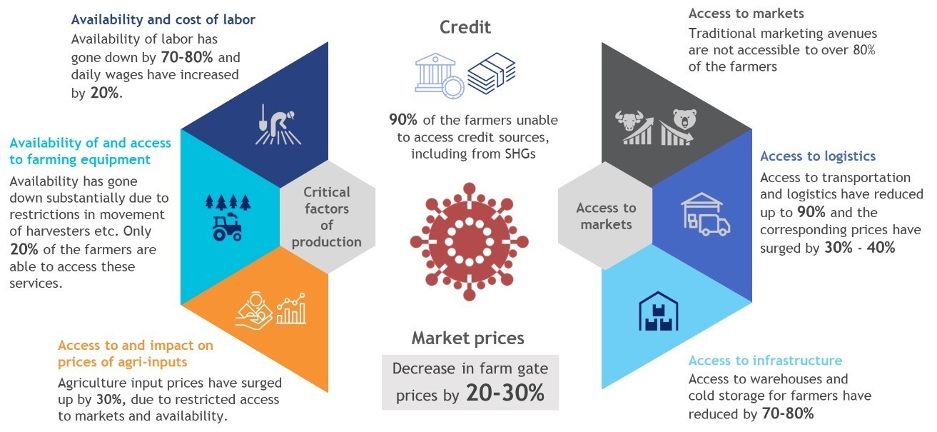 Indian Market price and production illustrator