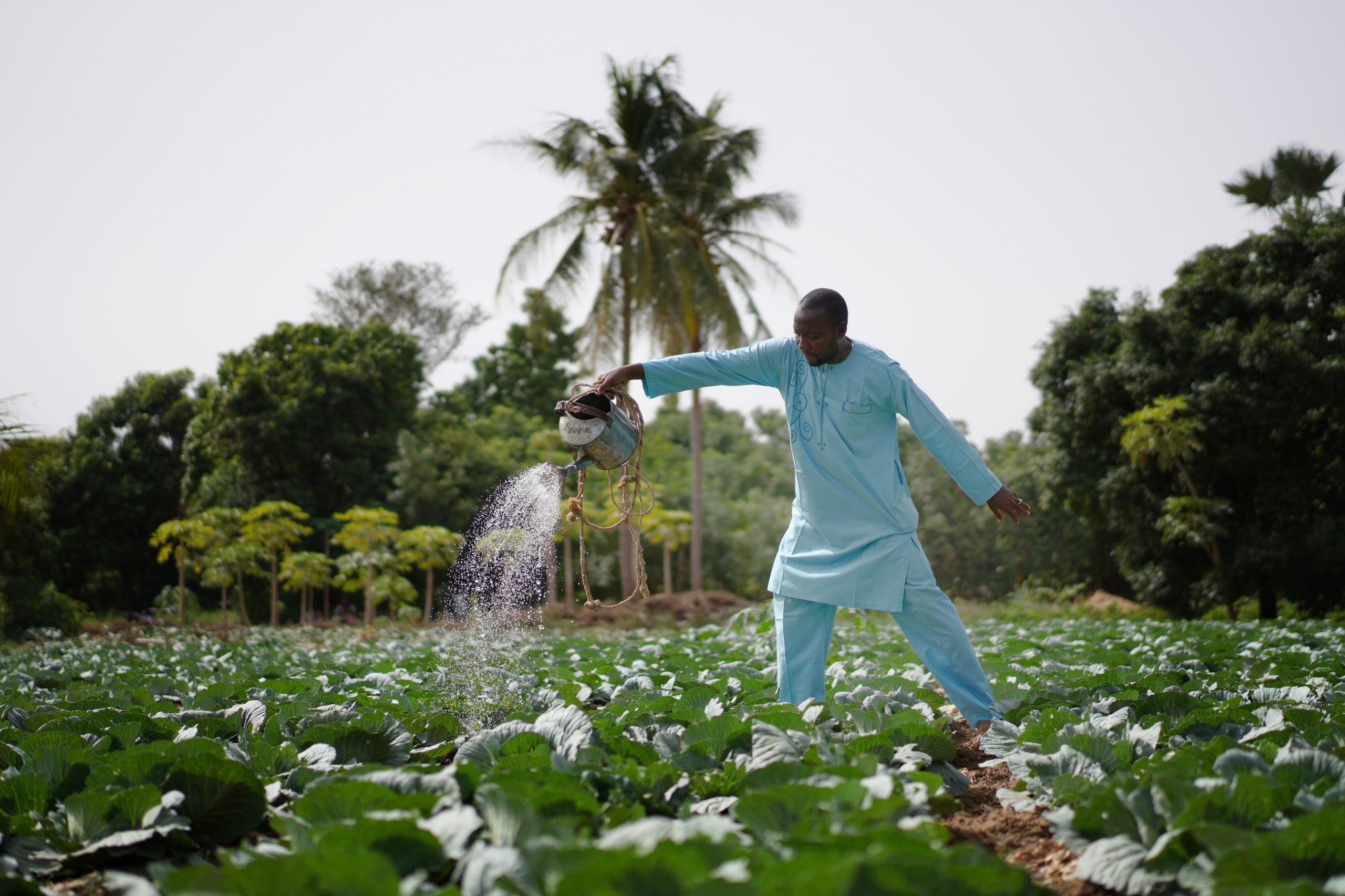 Feasibility study of a crop microinsurance product aimed at Tanzanian smallholder farmers