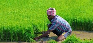 Enhancing resilience of smallholder farmers against climate change—can parametric agricultural insurance make a difference?