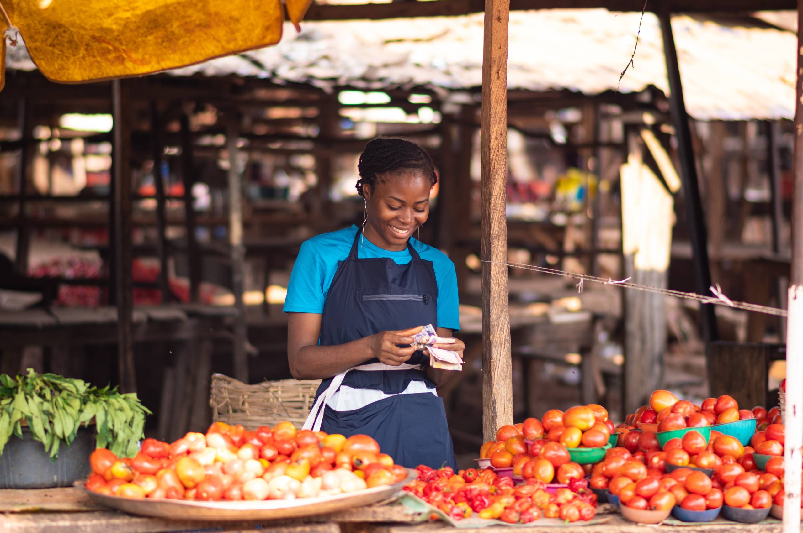 Climate-resilient financial services: A microfinance toolkit initiative