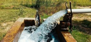 Evaluating the WASH Action Group Indicator Framework: A brief on the practices of investors and their partners
