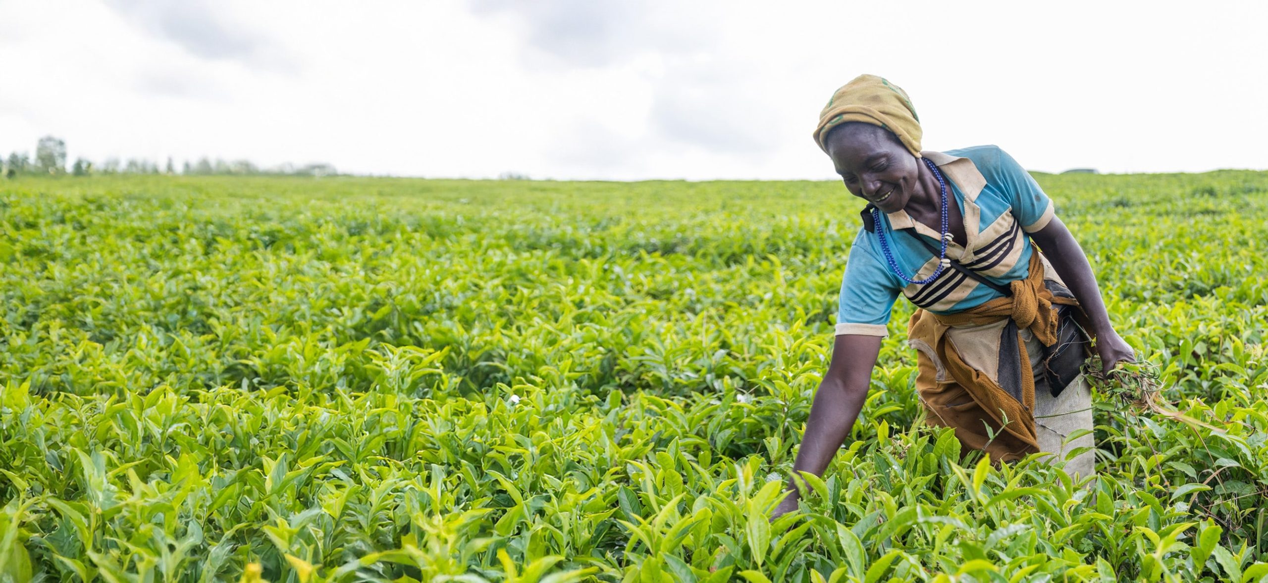Landscaping inclusive climate finance in Kenya and Mozambique