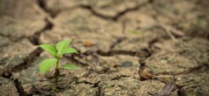 How can insurance transform how communities build climate resilience?