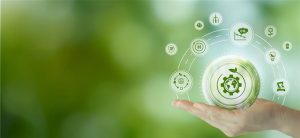 The path to resilience: MSC’s ecosystem approach to adaptive social protection (ASP)