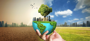 Protecting climate-vulnerable: How microloans and microinsurance can build systemic disaster resilience