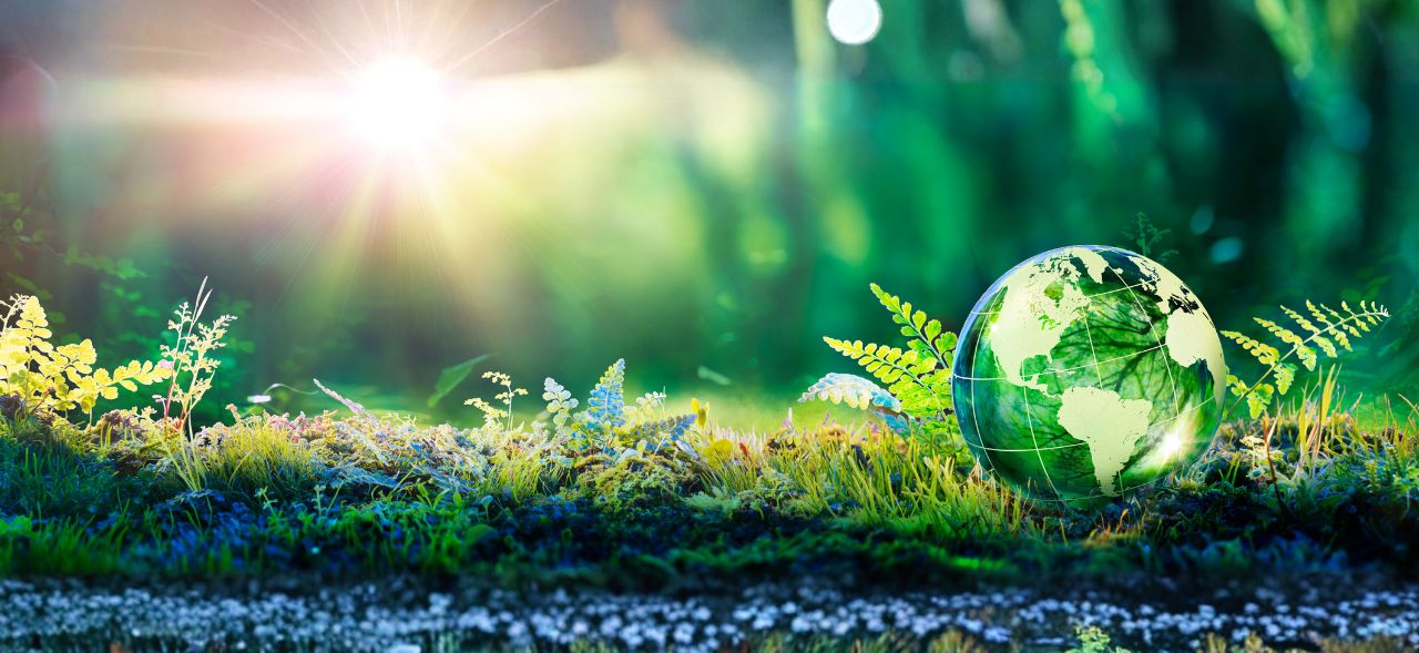 From reactive coping to adaptive resilience amid climate change