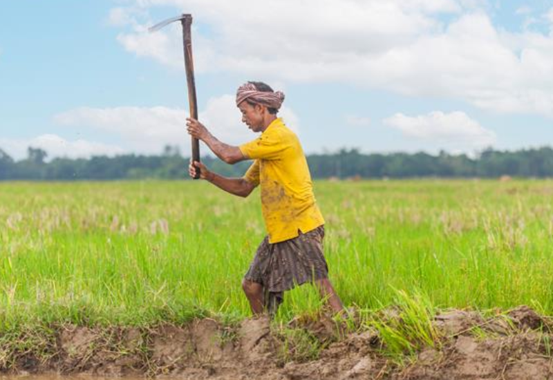 farmer-work-img