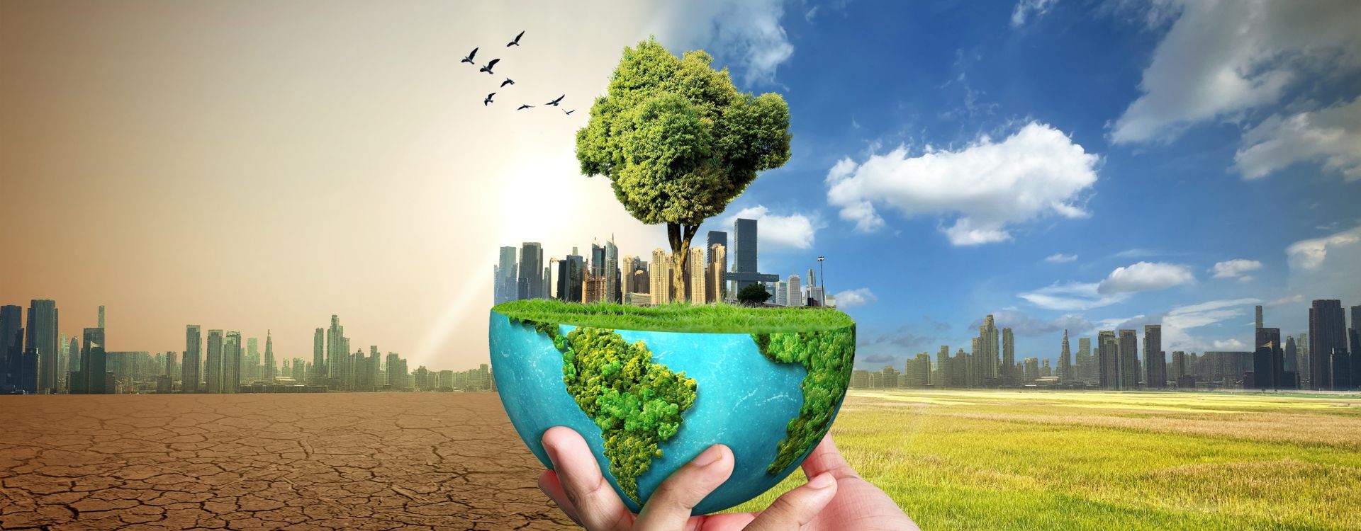 Protecting climate-vulnerable: How microloans and microinsurance can build systemic disaster resilience