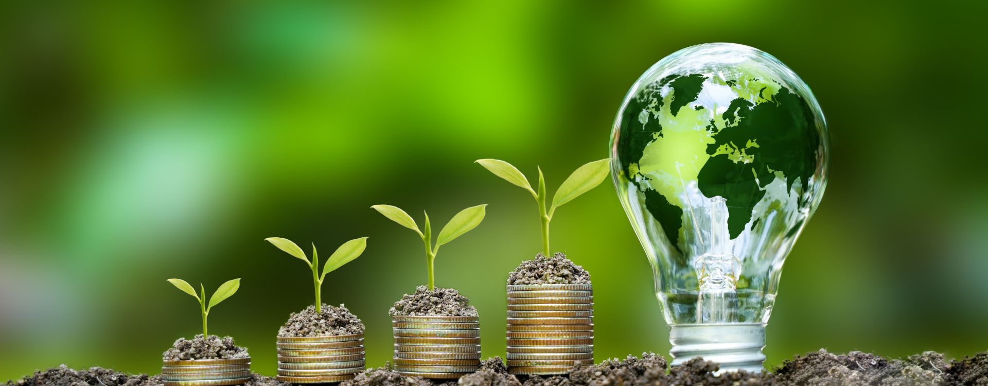 Home page banner (2)