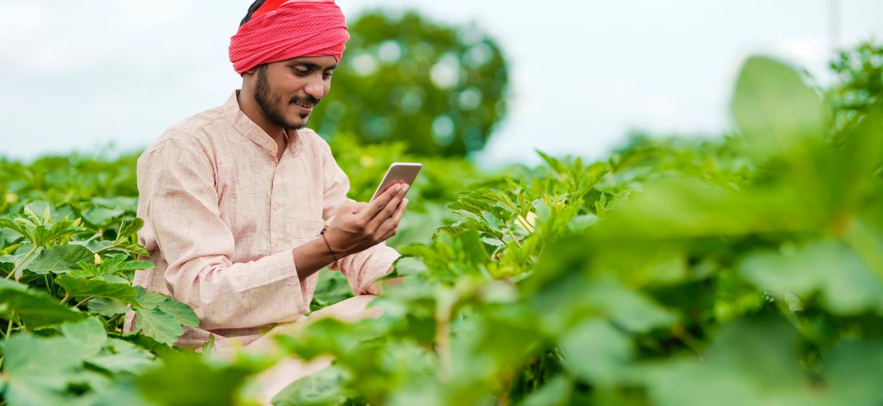 Publication banner for MSC