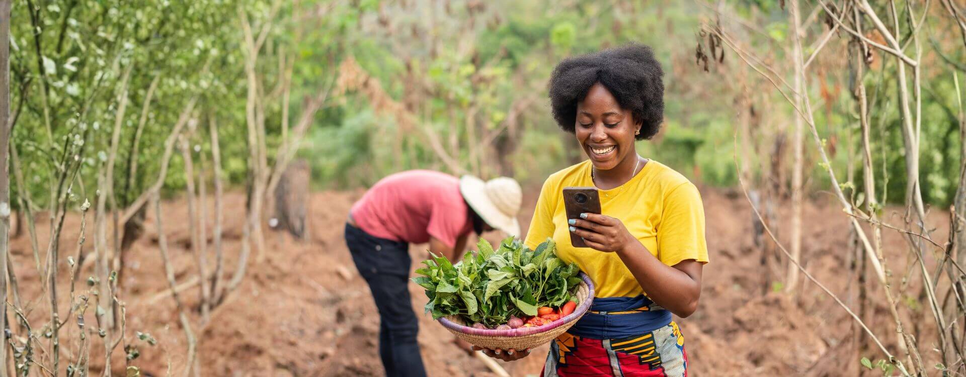 Digital agriculture is advancing. So why is it not scaling?