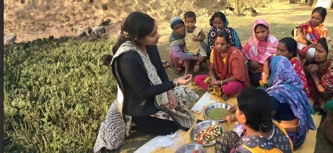 Publication banner for MSC