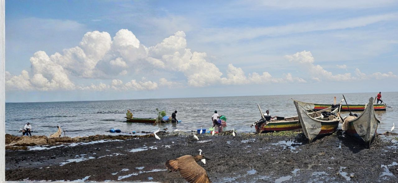 The structural drivers of vulnerability that most safeguarding programs still ignore